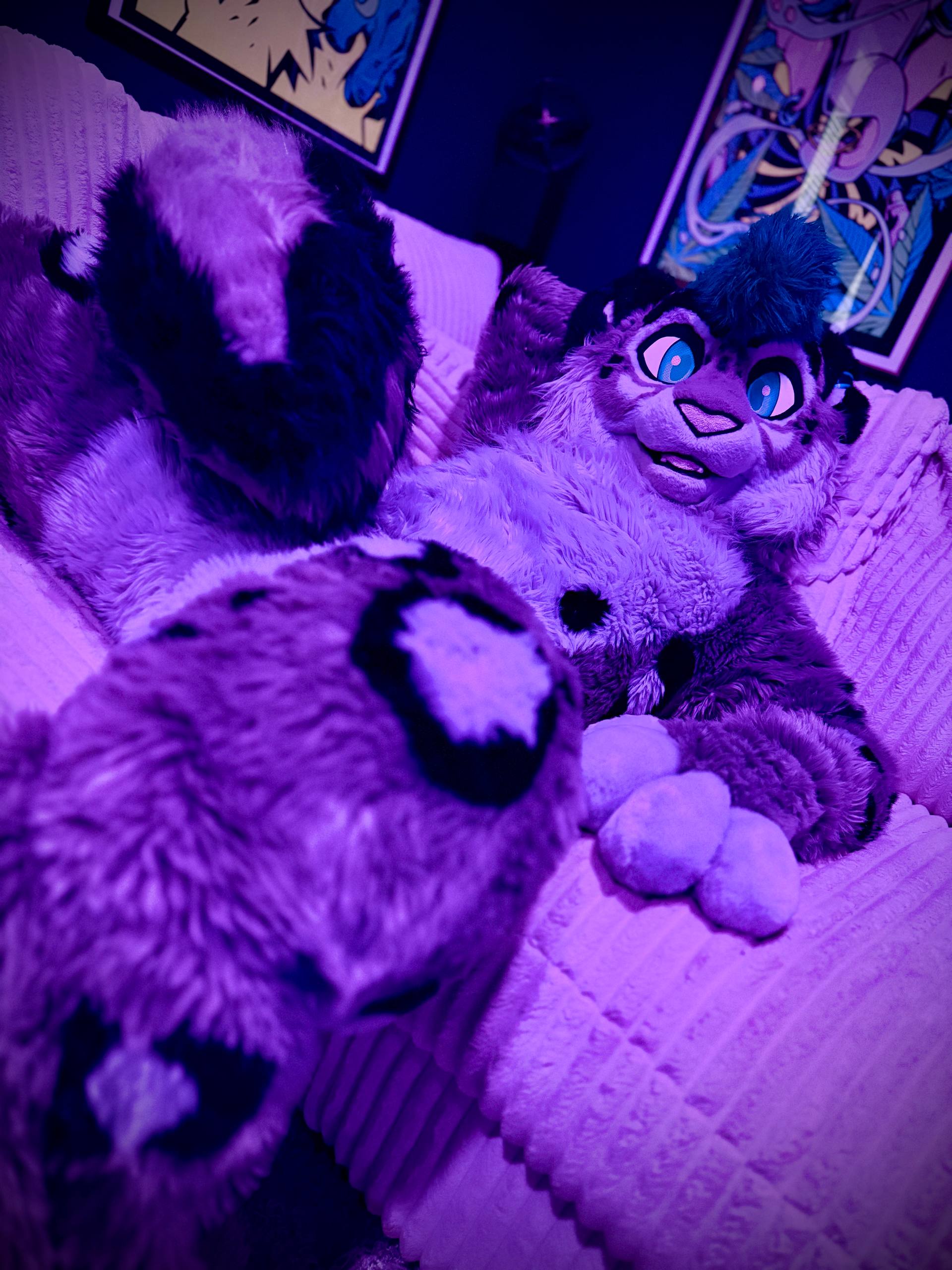 Frostbyte Snep in violet light